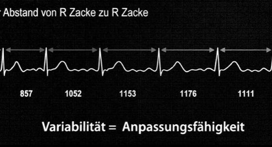Bildschirmfoto 2022-11-25 um 17.05.42